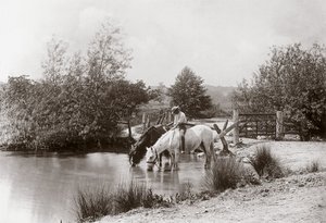 „Pferde trinken am Teich“, um 1890