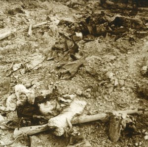 Menschliche Überreste, Verdun, Nordfrankreich, um 1914-1918 von Unbekannt