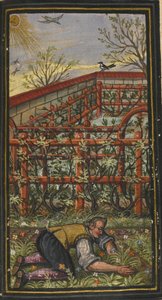 Illustration für Die wunderbare Sommerzeit des ewigen Lebens von Jacob Zader, 1603