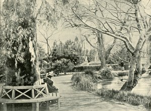 Im Botanischen Garten, Adelaide, 1901 von Unbekannt