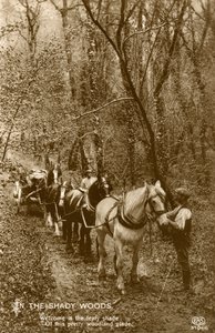 Im schattigen Wald, späte 19. oder frühes 20. Jahrhundert von Unbekannt