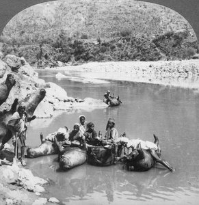 Aufgeblasene Ochsenhäute als Fähren auf dem Sutlej-Fluss, Punjab, Indien, um 1900er von Unbekannt