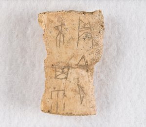 Beschriftetes Knochenfragment Orakelknochen von Unbekannt