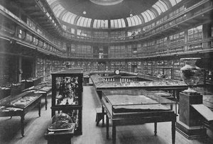 Innenraum des Geologischen Museums, Jermyn Street, 1904 von Unbekannt
