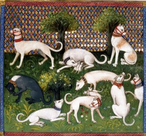 Jagdhunde (Alan) aus dem Livre de la Chasse