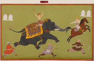 Jai Singhs Elefant Pakhrao, der durchdreht und ein Pferd am Schwanz packt, um 1680 von Unbekannt
