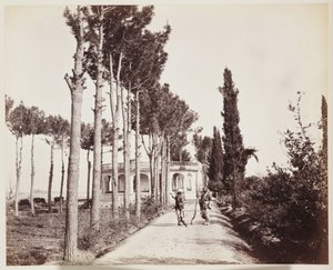Jellallabad Der Gartenweg des Amir von Unbekannt