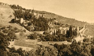 Jerusalem - Gethsemane