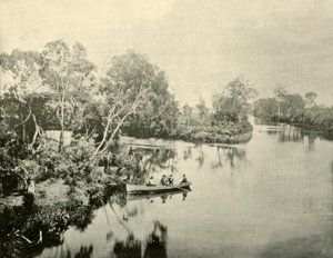 Zusammenfluss der Glengarry- und Thompson-Flüsse, Victoria, 1901 von Unbekannt