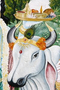 Kamdhenu, heilige Kuh, Kathmandu, Nepal von Unbekannt