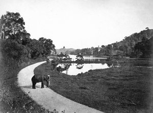 Kandy-See, Kandy, Sri Lanka, um 1910er