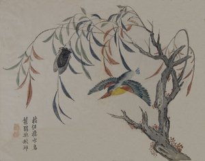 Eisvogel, Zikade und Weidenbaum, 19. Jahrhundert von Unbekannt