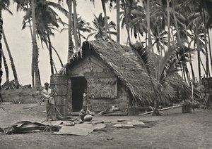 Kokospalmen und Eingeborenenhütte aus Kokosblättern an den Stämmen links, angebundene Blätter von Unbekannt
