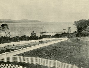 Lake Macquarie, von Toronto aus gesehen, 1901 von Unbekannt