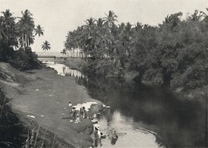 Landschaft am Fluss bei Dehiwala, zwischen Colombo und Mount Lavinia, 1926