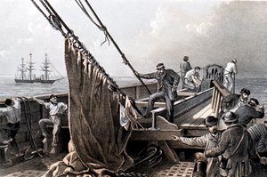 Verlegung des transatlantischen Telegraphenkabels, 1865-1866