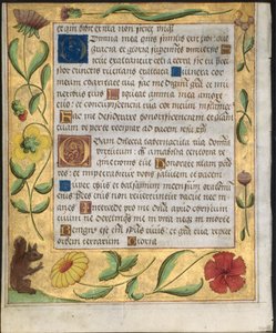 Blatt aus einem Psalter und Gebetbuch: Ornamentaler Rand mit Blumen und Eichhörnchen verso, um 1524 von Unbekannt