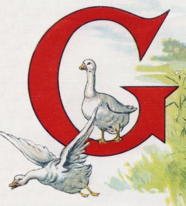 Buchstabe G: Gute Enten. Gravur im „ABC L