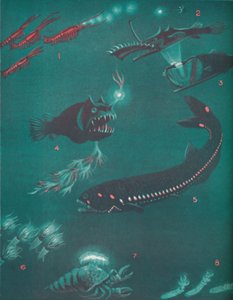 Leben eine halbe Meile unter der Meeresoberfläche, 1935