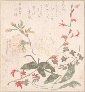 Lilie, Veilchen, Kirschblüten, Forsythie und ein Zweig roter Ahorn, 18.-19. Jahrhundert von Unbekannt