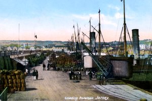 Kartoffeln verladen, Jersey, 1908 von Unbekannt