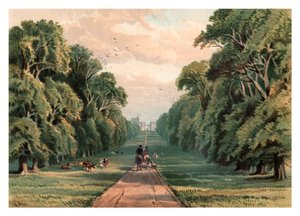 Langer Spaziergang, Windsor Park, 1880 von Unbekannt
