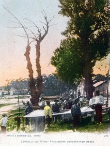 Lordelo do Ouro, bei Porto, Portugal, 1903