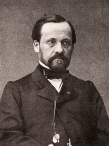 Louis Pasteur, französischer Mikrobiologe und Chemiker, 19. Jahrhundert von Unbekannt