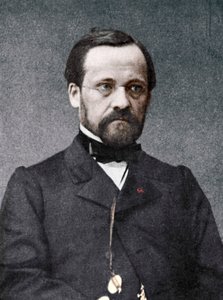Louis Pasteur, französischer Mikrobiologe und Chemiker, 19. Jahrhundert von Unbekannt