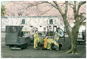 Imbissstand in einem öffentlichen Park, Japan, 1904