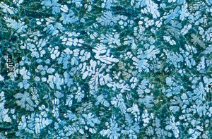 Metalle, Eisenmetalle, LM Zinkdruckguss (geätzt) von Unbekannt
