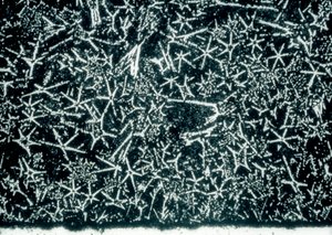 Metalle, Nichteisenmetalle, LM Zinnbasierte Lagerlegierung von Unbekannt