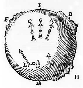 Magnetismus, 1600 von Unbekannt