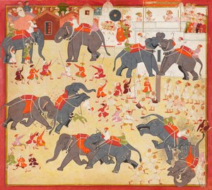 Maharana Raj Singh beobachtet einen Elefantenkampf