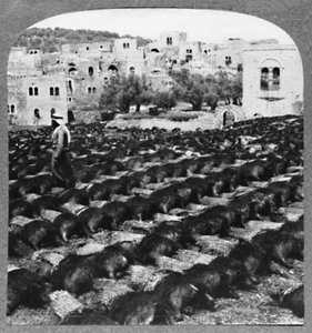 Herstellung von Weinflaschen, Hebron, ca. 1900 von Unbekannt