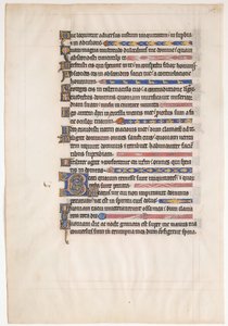 Manuskriptblatt aus einem königlichen Psalter, britisch, 13. Jahrhundert von Unbekannt