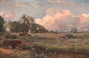 Wiesensüß, 1893, um 1902