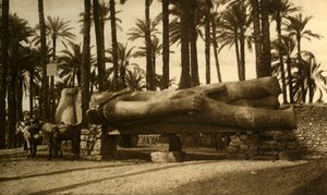 Memphis - Die kolossale Statue von Ramses II., um 1918-1939 von Unbekannt