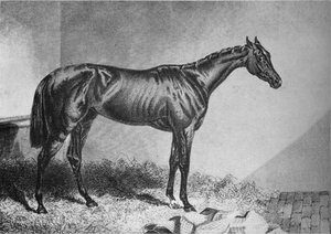Bettler