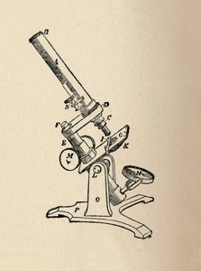 Mikroskop, 1912