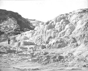 Minerva-Terrasse, Yellowstone Park, USA, um 1900 von Unbekannt