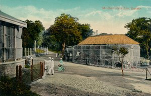 Mitchell Park Zoo, Durban, ca. 1915 von Unbekannt