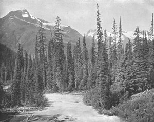 Berge Cheops und Hermit, Selkirk Range der Rockies, USA, ca. 1900
