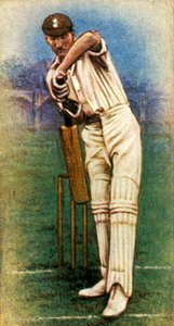 Mr. D. R. Jardine Surrey, 1928