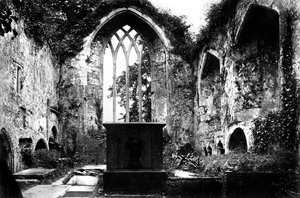 Muckross Abbey, Killarney, ca. 1882