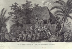Eingeborene der Sandwichinseln, Hawaii, schlachten Schweine vor Kapitän Cook, ca. 1778 von Unbekannt