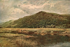 Naturspiegel, 1882, um 1902