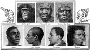 Natures evolutionäre Designs in Nasen, 1922