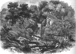 Neuseeländische Landschaft, ca. 1880 von Unbekannt