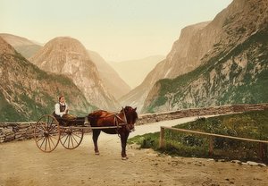 Norwegisches Bauernmädchen auf einem Pferdewagen